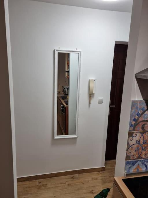 Studio Apartman Bojana 34M2,Free Wifi,Parking Σίσακ Εξωτερικό φωτογραφία