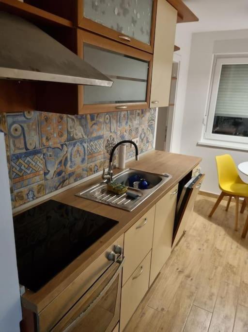 Studio Apartman Bojana 34M2,Free Wifi,Parking Σίσακ Εξωτερικό φωτογραφία